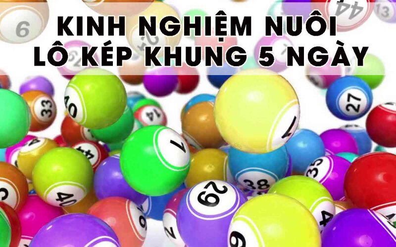 Một vài phương pháp nuôi lô khung 5 ngày phổ biến nhất hiện nay